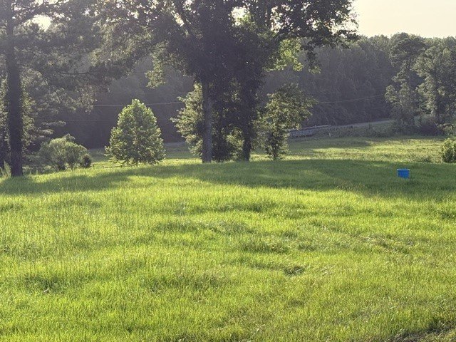 Picture 19