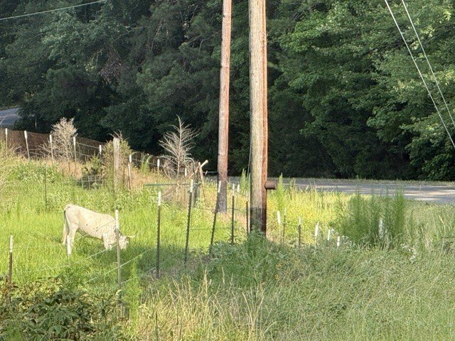 Picture 9