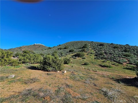 Expansive Agua Dulce Acreage