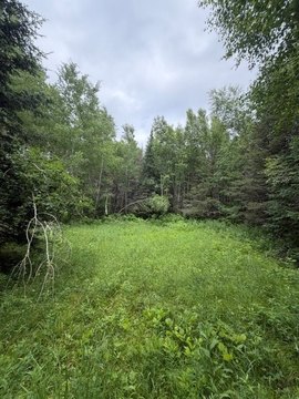 LAND - Trego, WI