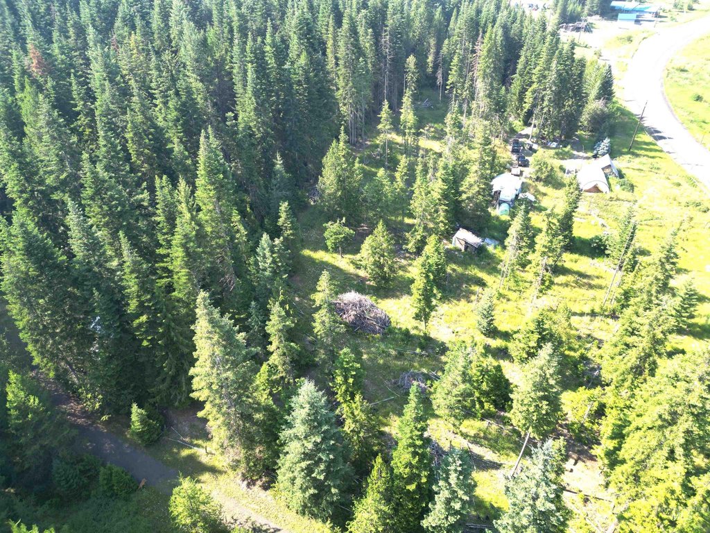Picture 3