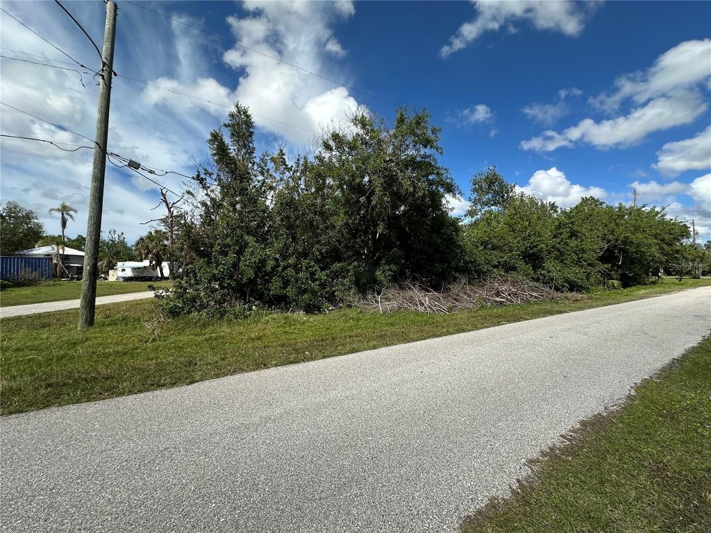 Picture 5