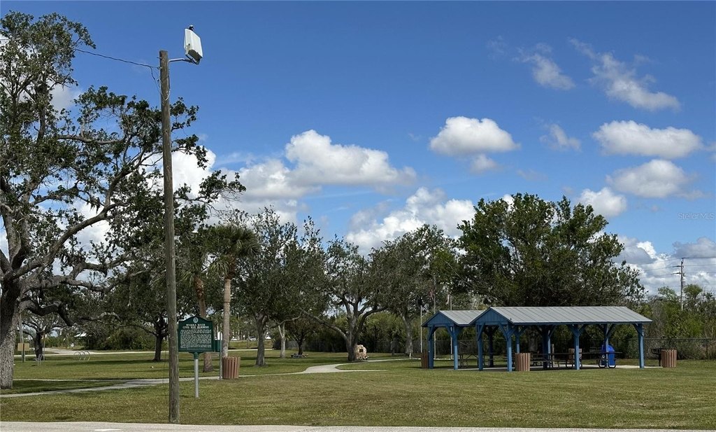 Picture 8