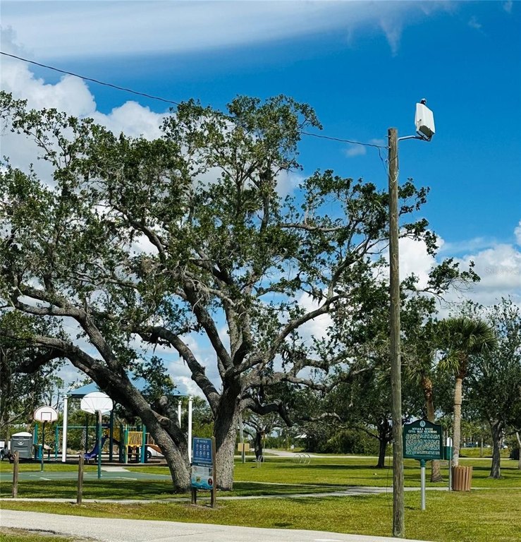 Picture 9