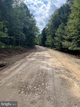 Wooded Lots in Hideaway Lane