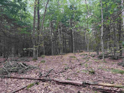 Wooded Residential Land Parcel