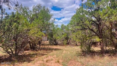 LAND - Overgaard, AZ