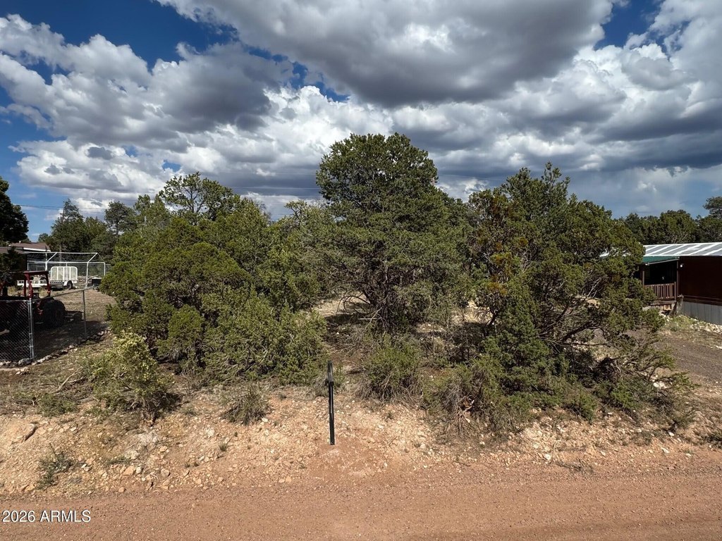 Picture 19