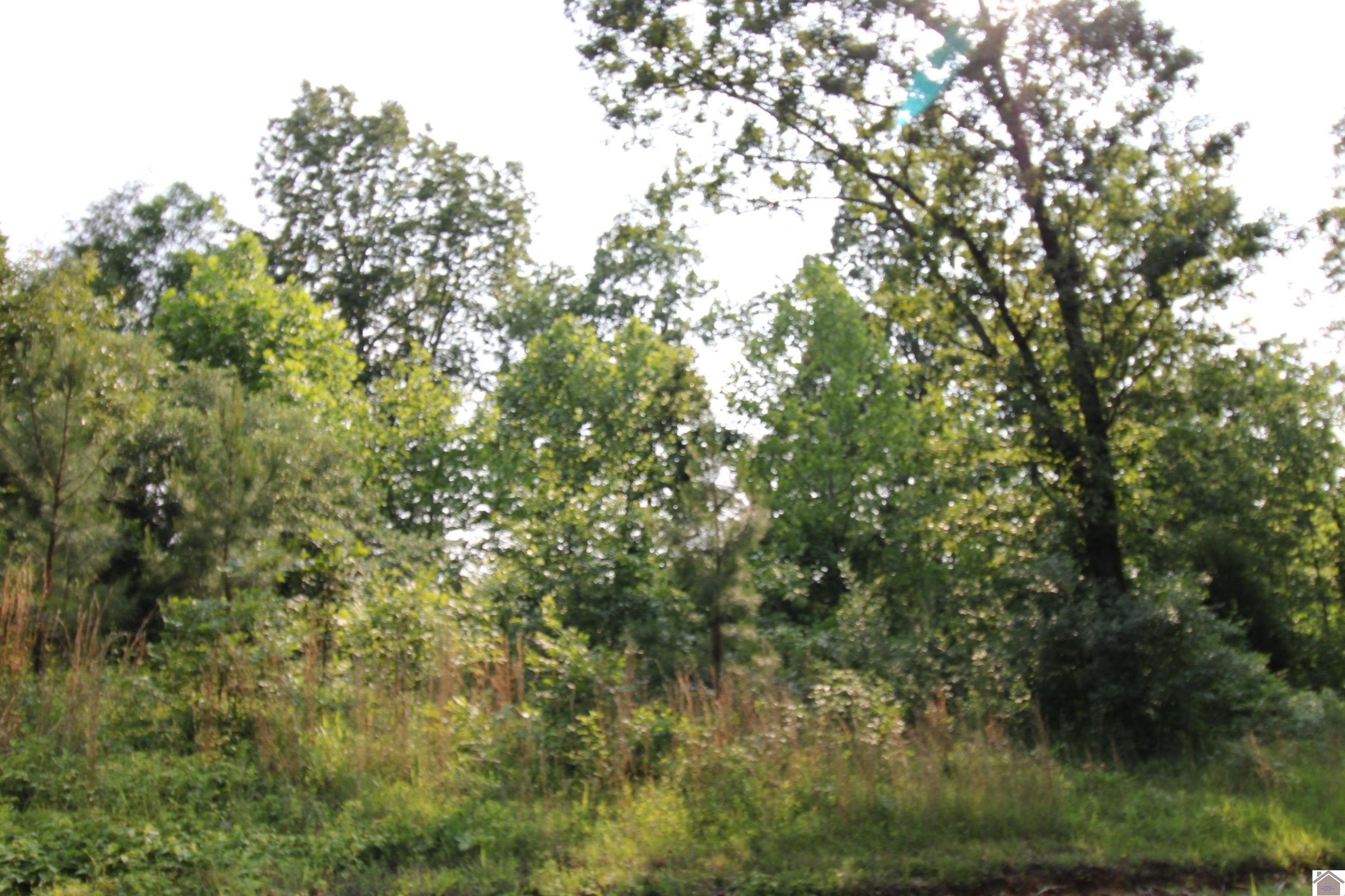 Residential Lot Near Moore's Resort