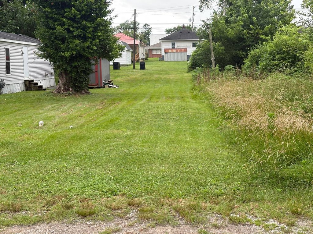 Picture 4