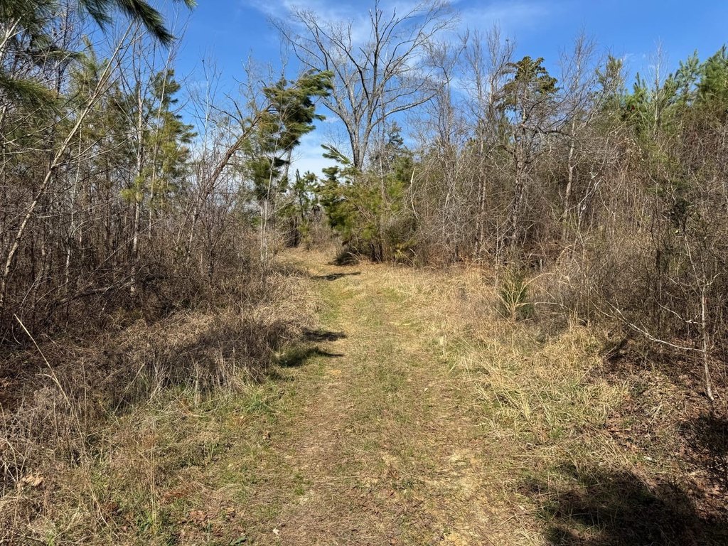 Picture 28