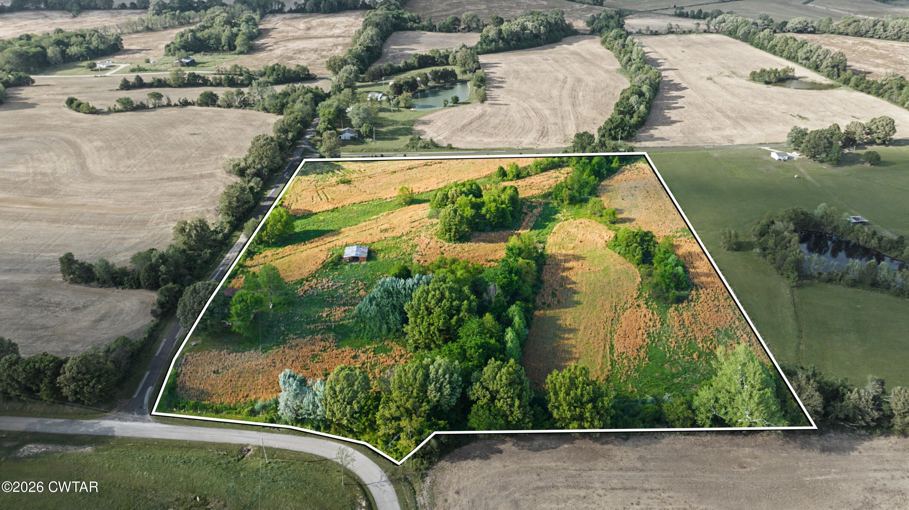 Sprawling Alamo Estate on 13.95 Acres