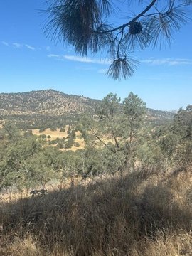 Scenic Foothills Residential Land