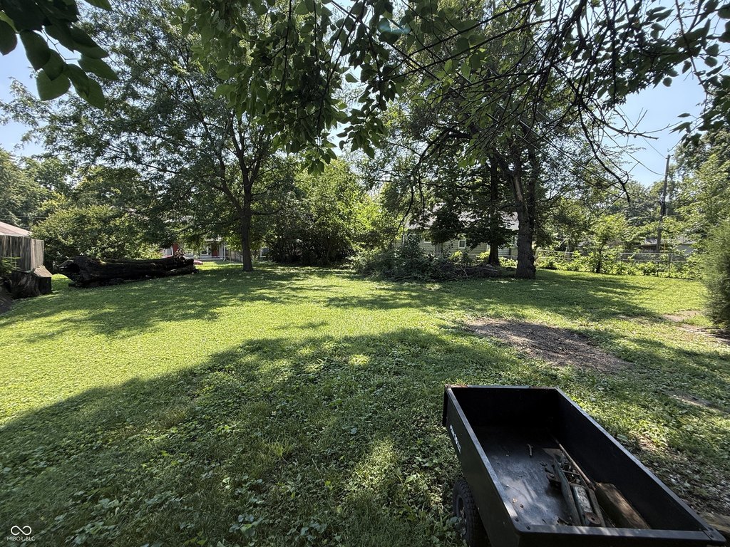 Picture 8
