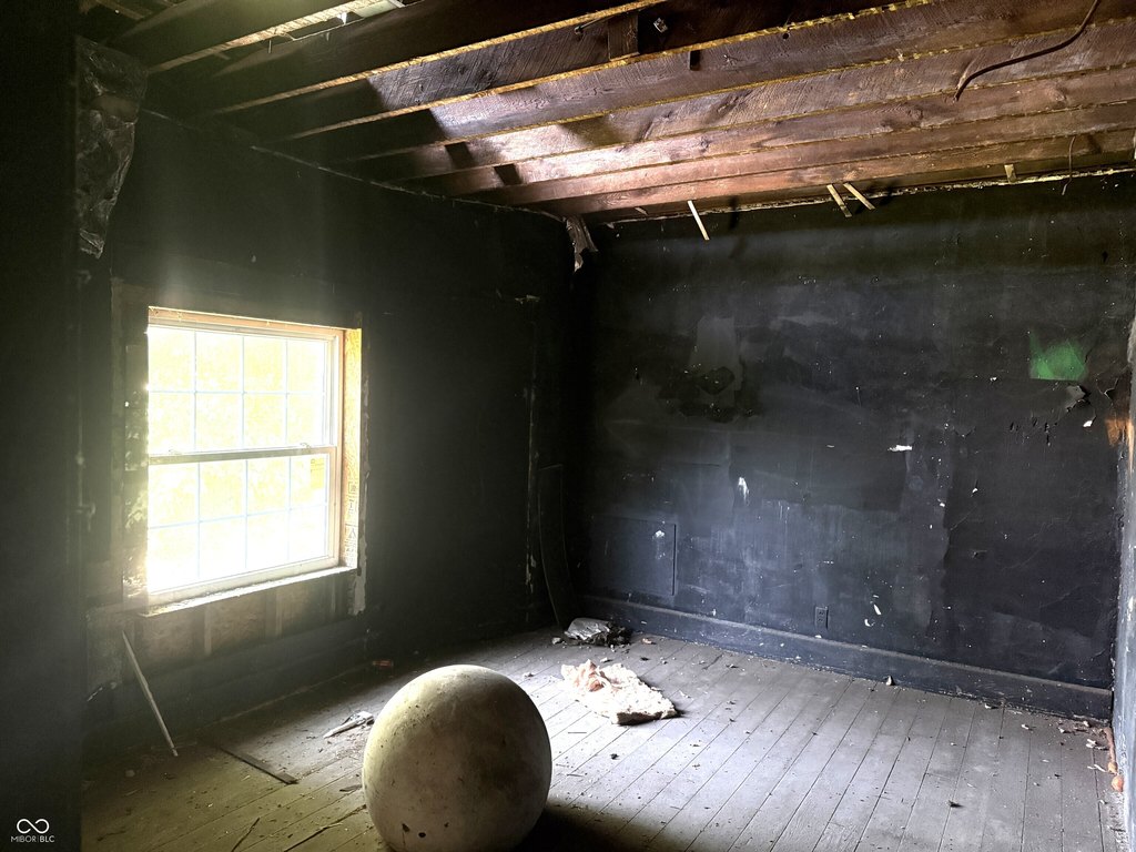 Picture 21