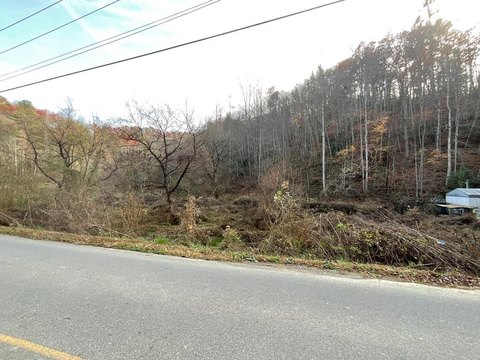 Sevierville Land Near Arts Community