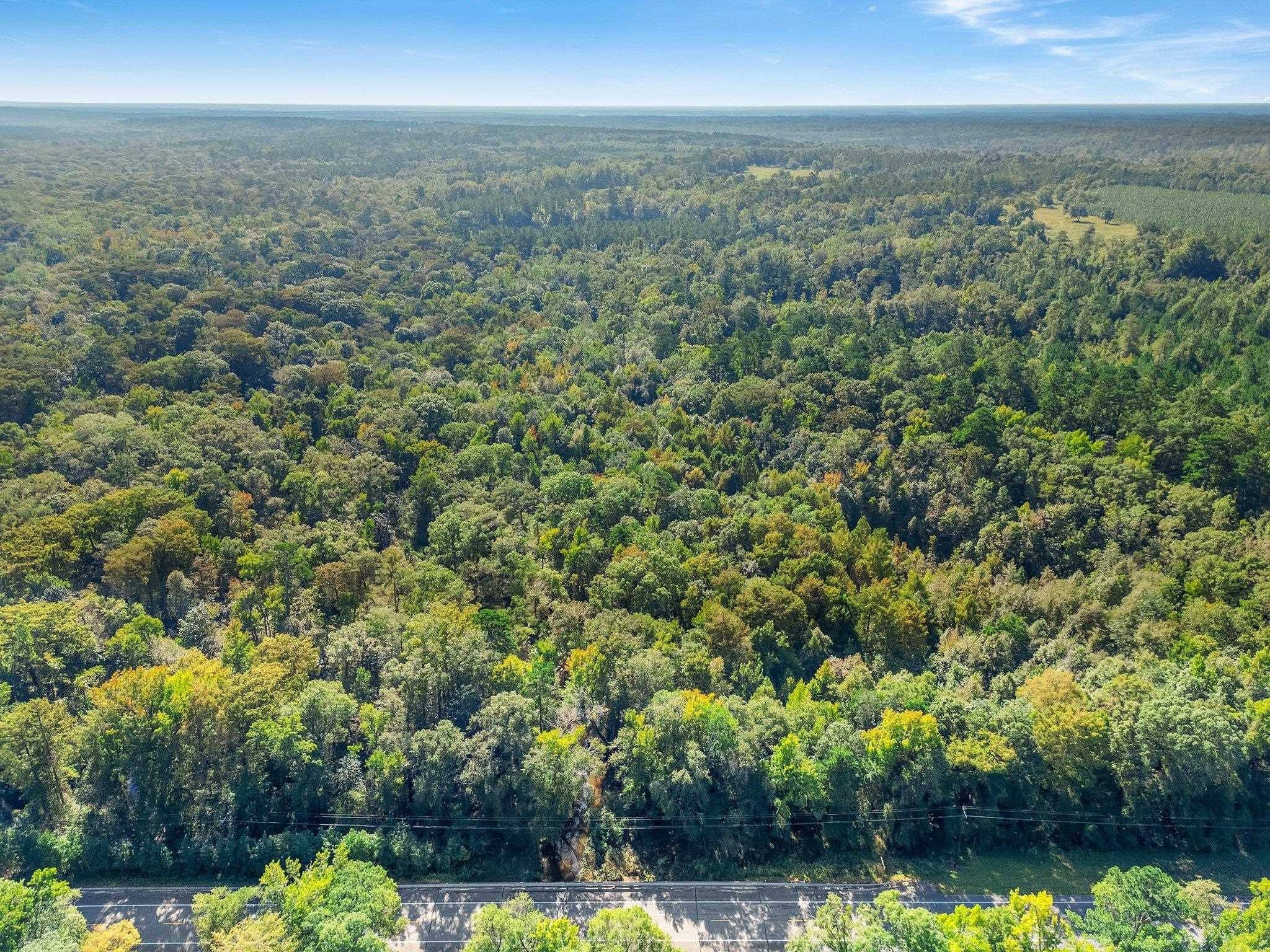 30 Acres of Hunting Land