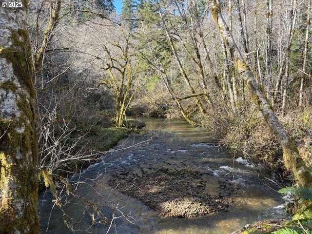 200 Acres with Steer Creek