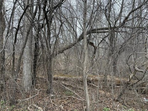 Residential Lot Near Schools, Parks