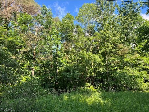LAND - Conneaut, OH