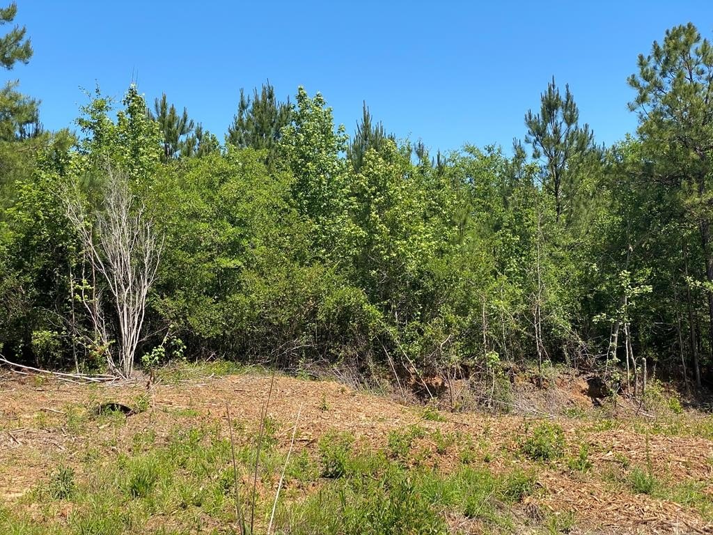 750 Acres of Timber Land
