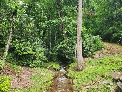 Ready-to-Build Land in Hemlock Falls