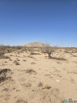 Land Parcel in Deming, NM