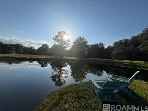 Land, Clinton, LA