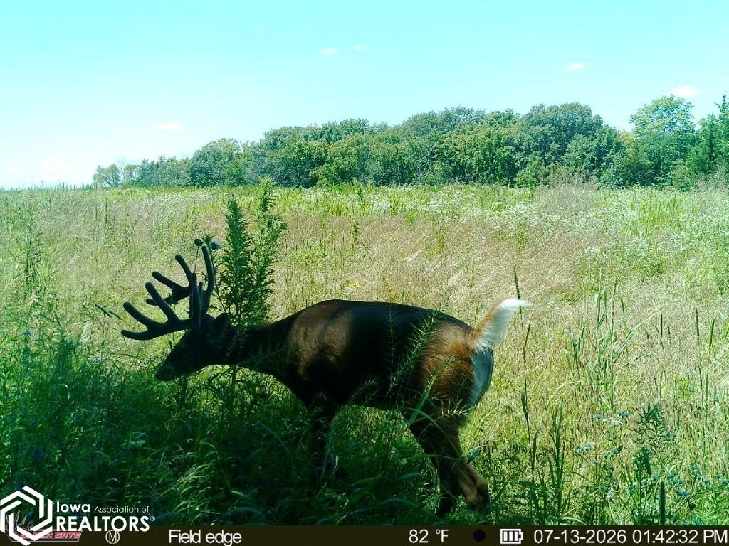 Picture 13