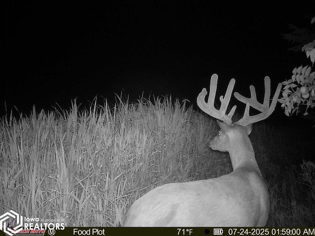 Picture 12