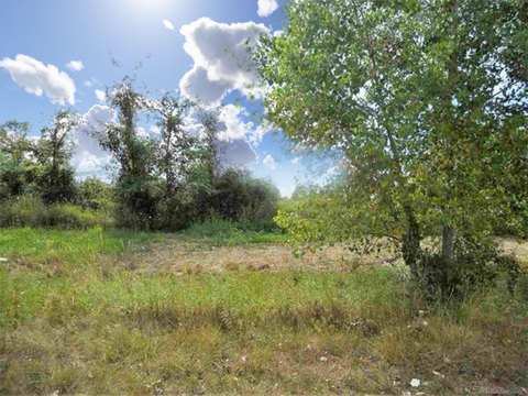Imlay City Vacant Land Parcel