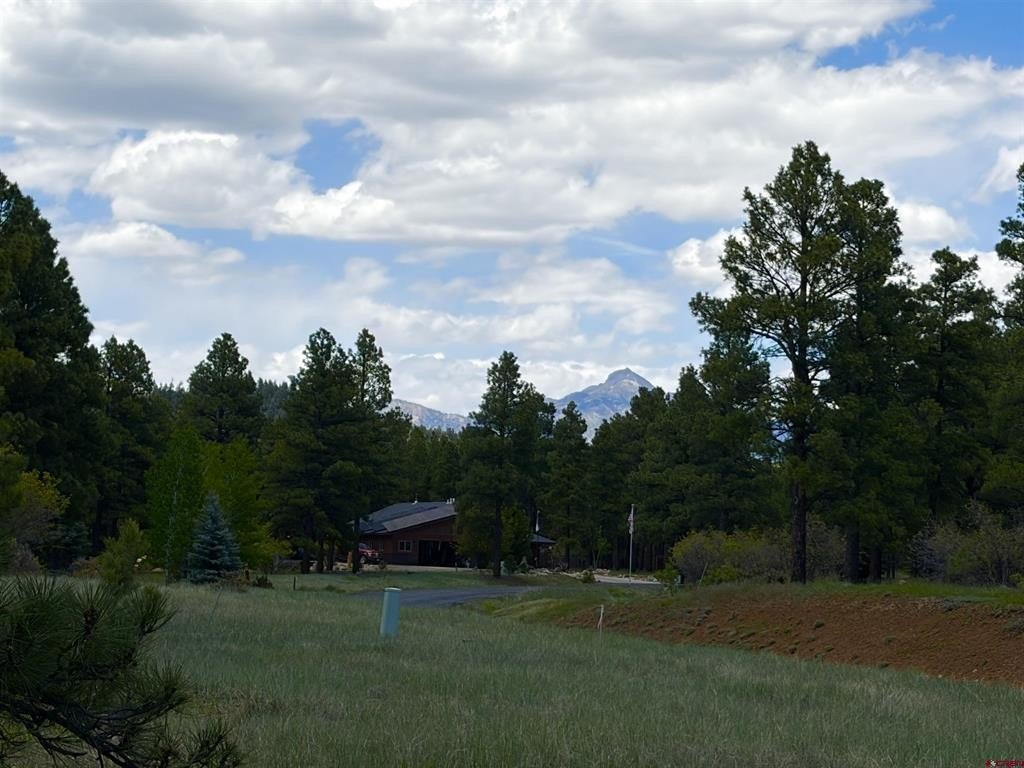 Picture 21