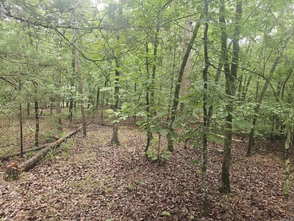 Picture 4