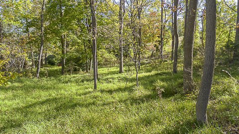 Land, Lexington, VA