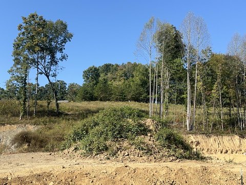 Land, Corbin, KY