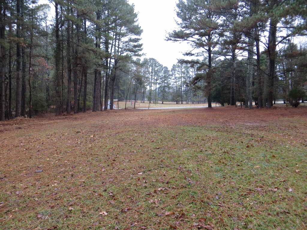 Picture 9