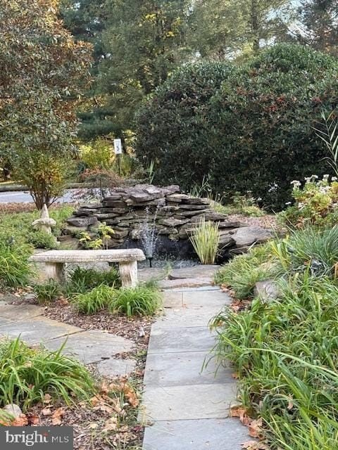 Picture 15