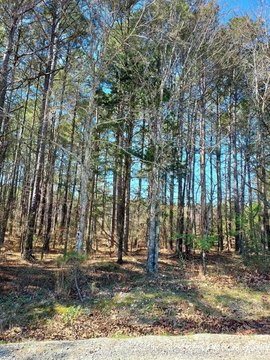 Residential Lot in Golf Course