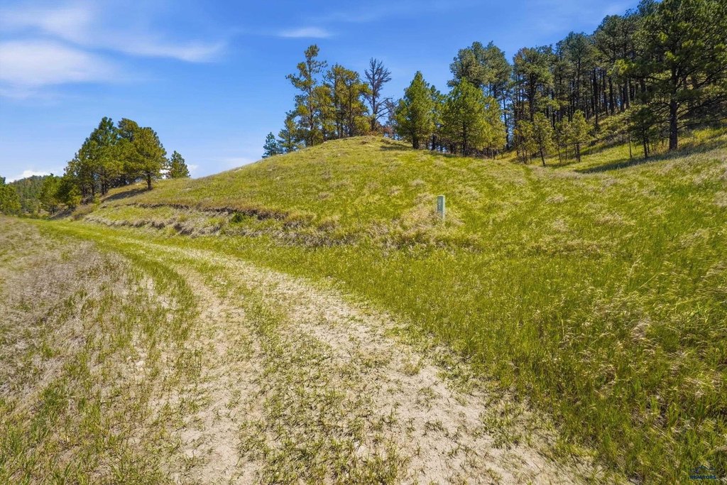 Picture 23