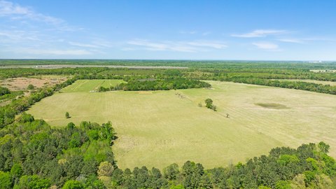 Fenced Rotational Grazing Farmland