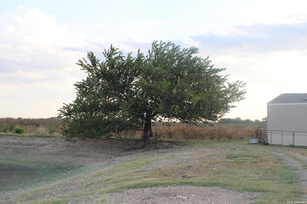 Picture 35