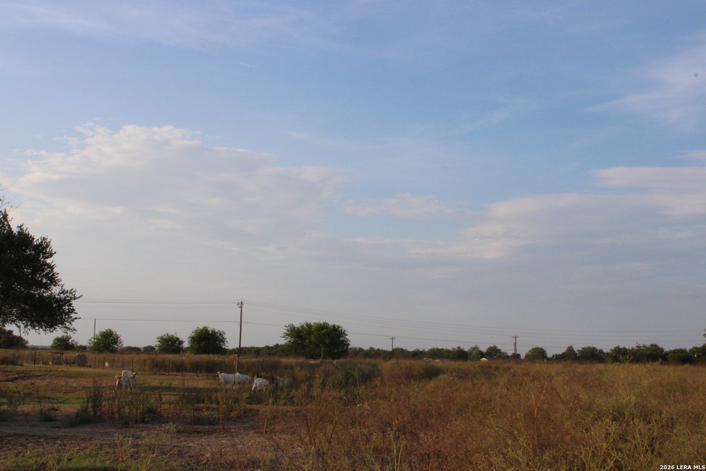 Picture 44