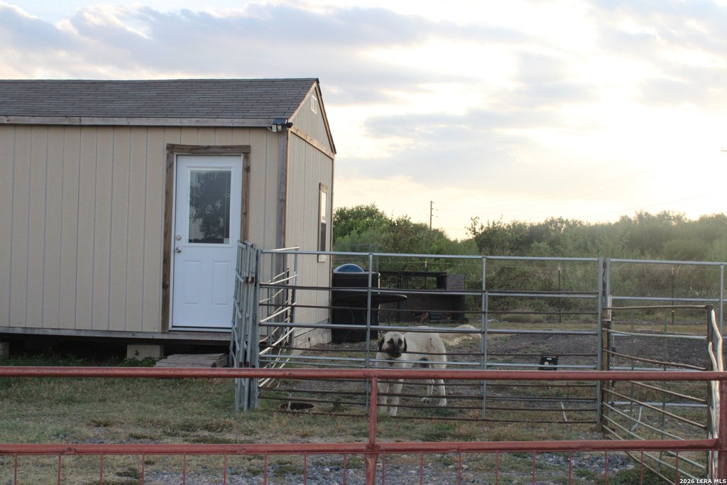 Picture 28