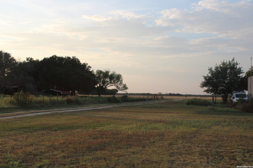 Picture 15