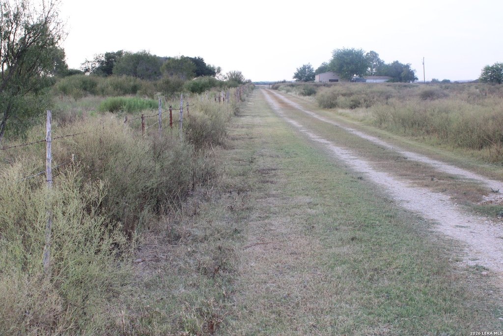 Picture 19