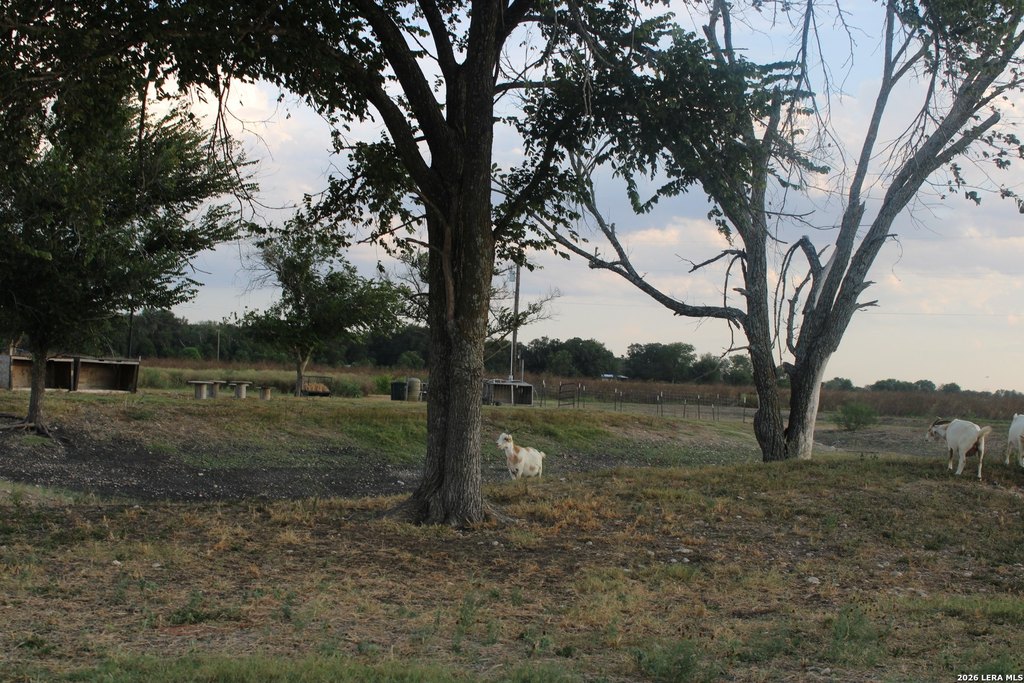 Picture 38