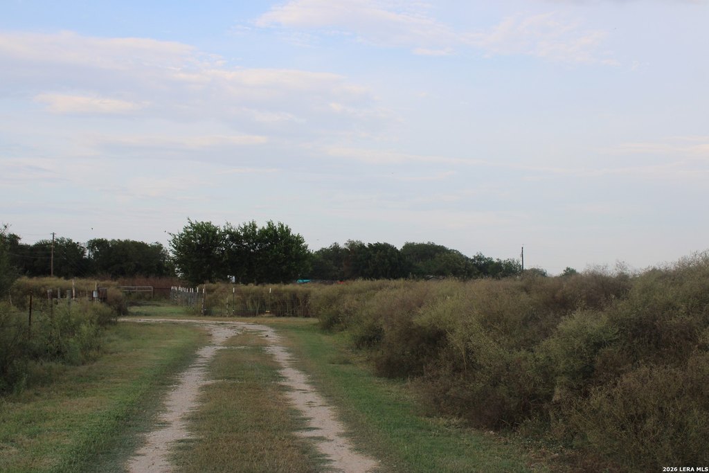 Picture 21