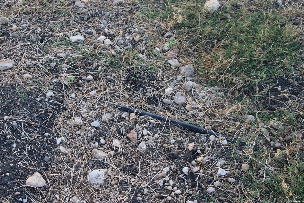 Picture 42