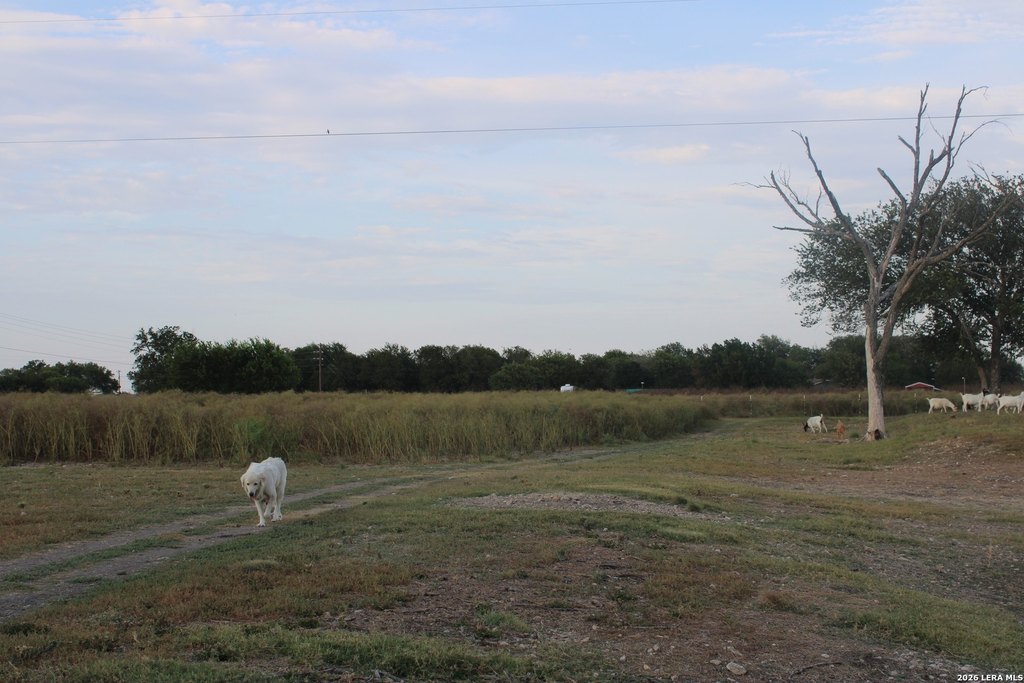 Picture 31