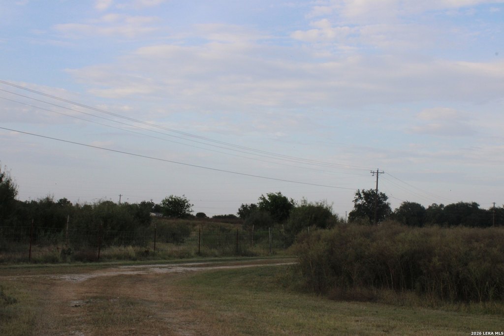 Picture 23